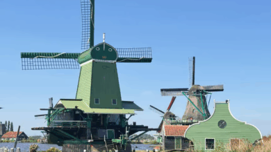 Several old time windmills still working on a waterway as experienced on Amsterdam windmill tours
