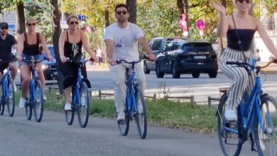 Munich bike tours group riding along a tree-lined city path with cyclists enjoying a sunny day in Munich